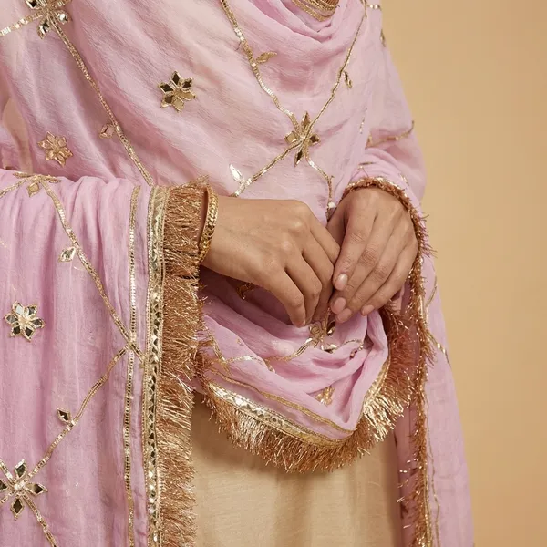 Light_Pink_Shiffon_Premium_Saree_For_Women