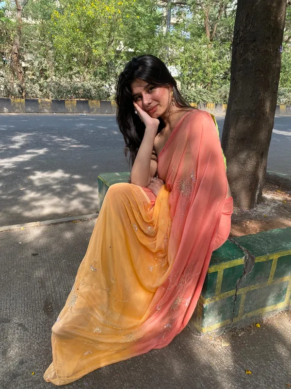 Chiffon_saree