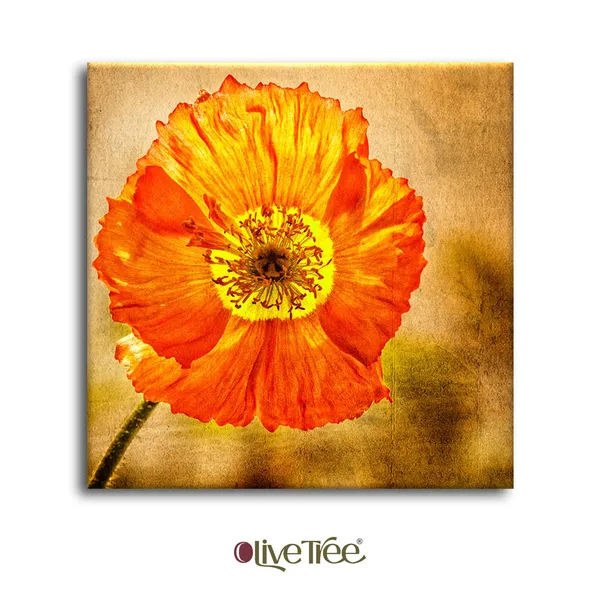 Wooden_Wall_Art_Canvas_Painting_With_Engineered_Wood_Frame