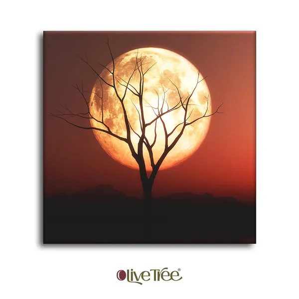 Wooden_Wall_Art_Canvas_Painting_With_Engineered_Wood_Frame