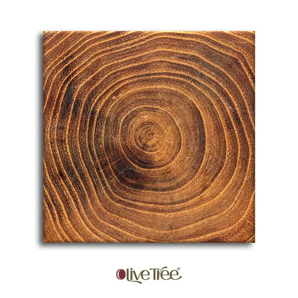 Wooden_Wall_Art_Canvas_Painting_With_Engineered_Wood_Frame