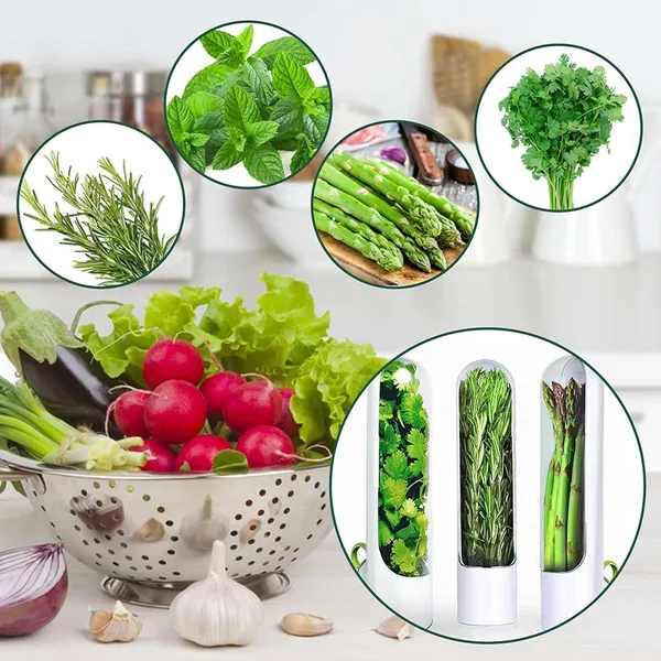 Herb_Saver_Pods_Fresh_Herb_Keeper_For_Refrigerator_Bpa_Free_Transparent_Storage_For_Mint_Spinach_Basil_Parsley_Coriander_Green_Garlic_More_Keeps_Herbs_Fresh_Longer