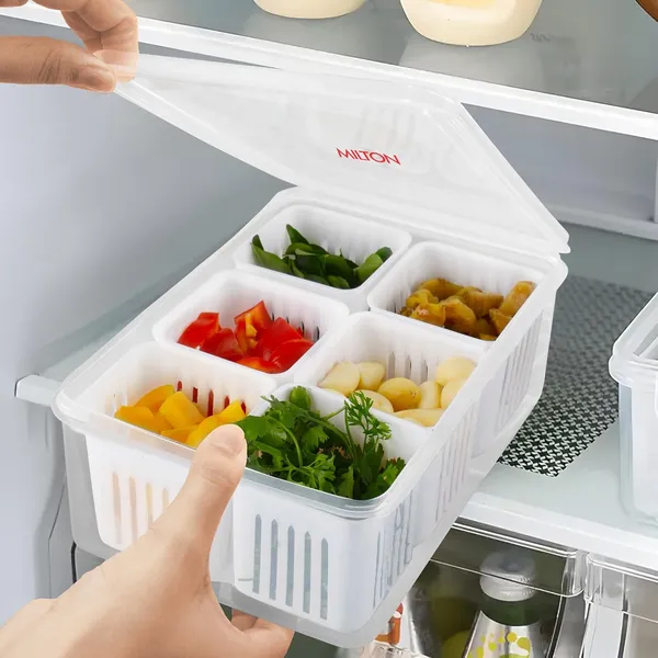 Milton_6_In_1_Grid_Fridge_Storage_Containers_Fridge_Organizer_Container_Lid_Stackable_Box_Space_Saving_Plastic_Containers_For_Chopped_Vegetables_Fruits