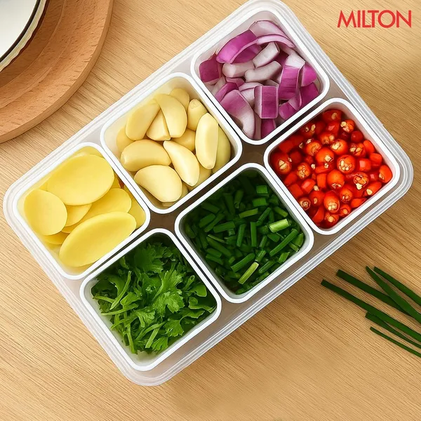 Milton_6_In_1_Grid_Fridge_Storage_Containers_Fridge_Organizer_Container_Lid_Stackable_Box_Space_Saving_Plastic_Containers_For_Chopped_Vegetables_Fruits