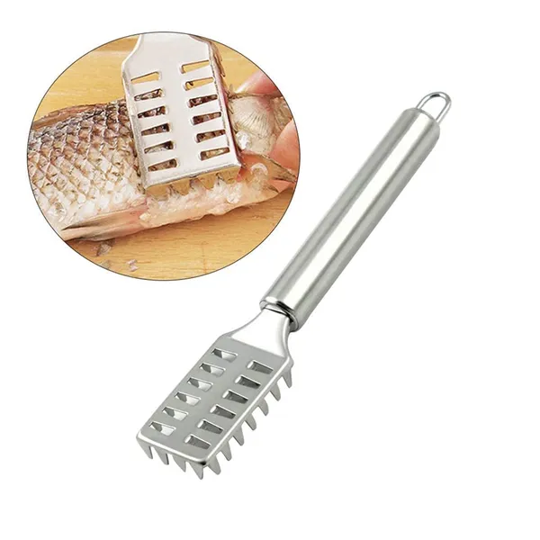 Steel_Fish_Scale_Remover_Fish_Scraper_Scaler_Tool_For_Easy_Descaling_Kitchen_Fish_Cleaning_Tool_For_Home_Use_Pack_Of_2
