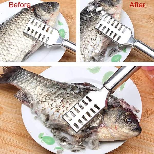 Steel_Fish_Scale_Remover_Fish_Scraper_Scaler_Tool_For_Easy_Descaling_Kitchen_Fish_Cleaning_Tool_For_Home_Use_Pack_Of_2