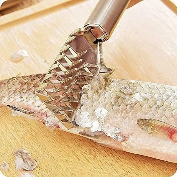 Steel_Fish_Scale_Remover_Fish_Scraper_Scaler_Tool_For_Easy_Descaling_Kitchen_Fish_Cleaning_Tool_For_Home_Use_Pack_Of_2