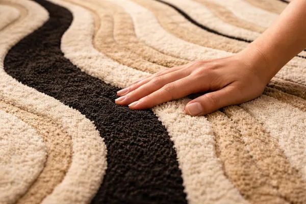 Modern_Abstract_Black_&_Cream_Area_Rug_–_Hand_Tufted_Hi-Low_Texture_|_Soft_Plush_Carpet_for_Living_Room_&_Bedroom_Decor