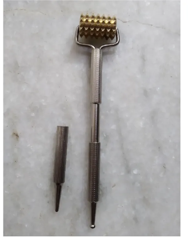 Silver_Professional_Skin_Roller_With_Replaceable_Head_540_MicroNeedles_For_Face_And_Body_Care