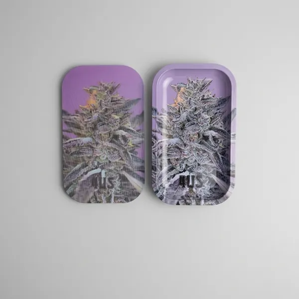 Full_Size_Metal_Rolling_Tray_With_Magnetic_Lid