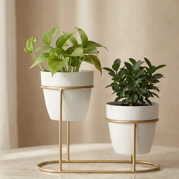 Gold_Tier_Oval_Metal_Plant_Stand_Withceramic_Potsfinish