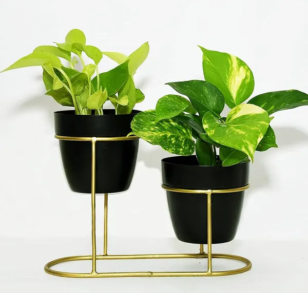 Black_And_Gold_&_Two_Tier_Metal_Plant_Stand_With_Pots