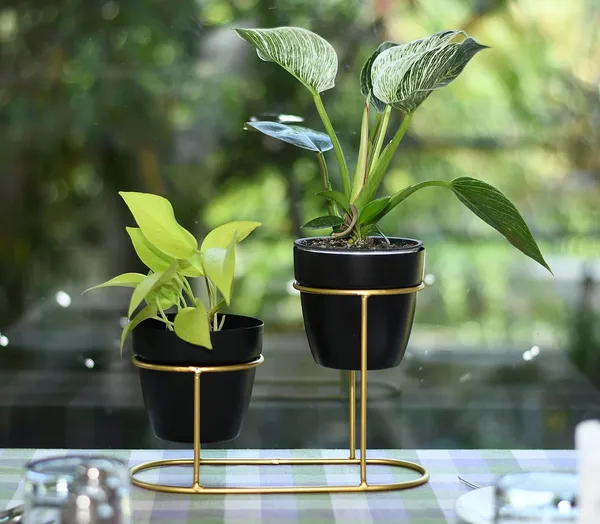 Black_And_Gold_&_Two_Tier_Metal_Plant_Stand_With_Pots