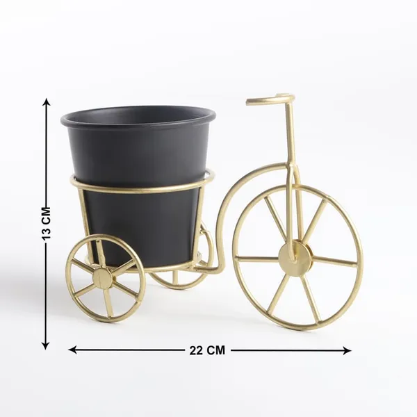 Beige_And_Green_Decorative_Metal_Tricycle_Planter_Stand_With_Potframe
