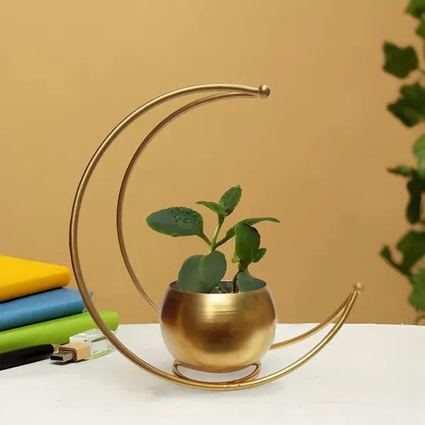 Gold_Crescent_Moon_Hanging_Planter_With_Metal_Stand