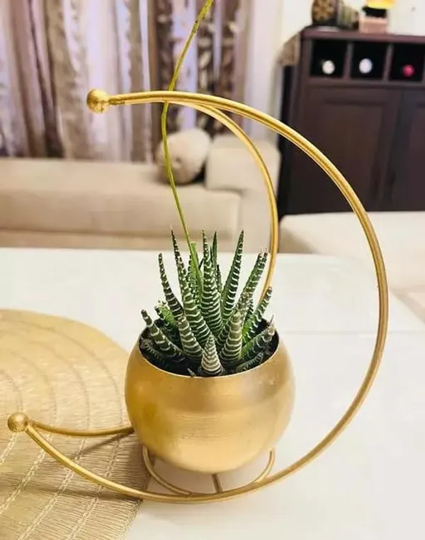 Gold_Crescent_Moon_Hanging_Planter_With_Metal_Stand