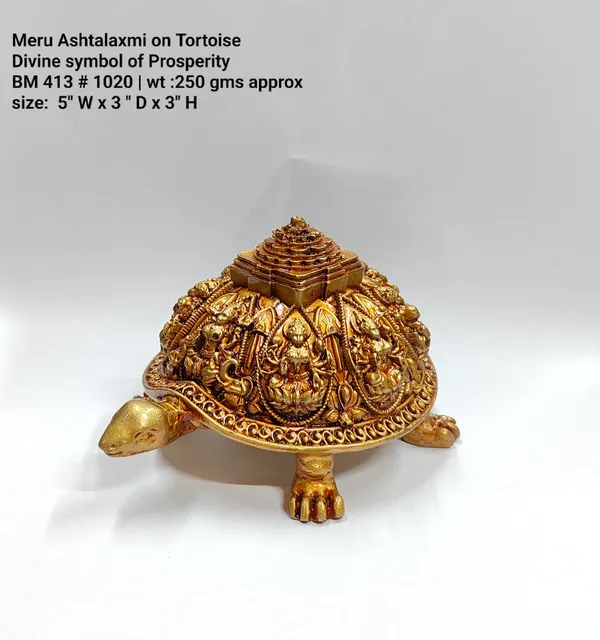 MERU_TORTOISE