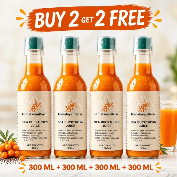 Buy_2_Get_2_Free_Sea_Buckthorn_Juice_300ml_+_300ml_|_Omega_3_6_7_9_Rich_Superfruit_|_High_Vitamin_C_|_Immunity_Booster_|_Skin_&_Hair_Health_Drink