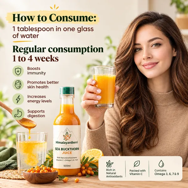 Buy_2_Get_2_Free_Sea_Buckthorn_Juice_300ml_+_300ml_|_Omega_3_6_7_9_Rich_Superfruit_|_High_Vitamin_C_|_Immunity_Booster_|_Skin_&_Hair_Health_Drink
