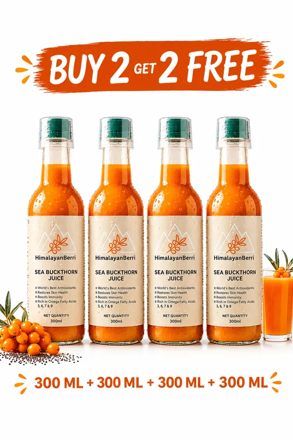 Buy_2_Get_2_Free_Sea_Buckthorn_Juice_300ml_+_300ml_|_Omega_3_6_7_9_Rich_Superfruit_|_High_Vitamin_C_|_Immunity_Booster_|_Skin_&_Hair_Health_Drink