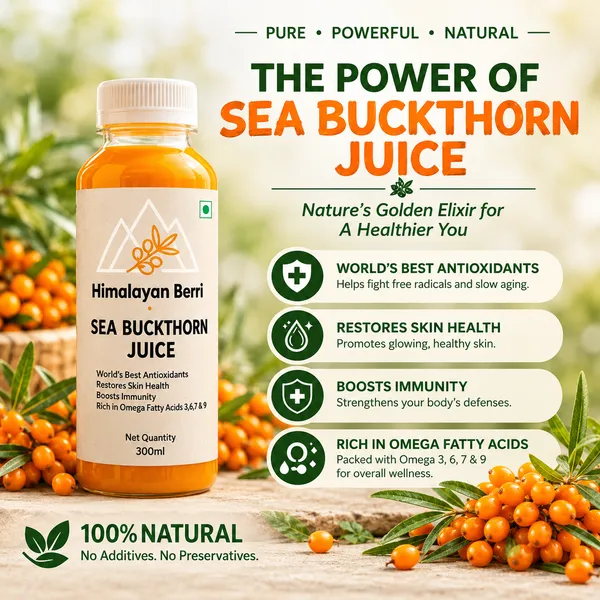 Buy_2_Get_2_Free_Sea_Buckthorn_Juice_300Ml_And_300Ml_|_Omega_3_6_7_9_Rich_Superfruit_|_High_Vitamin_C_|_Immunity_Booster_|_Skin_And_Hair_Health_Drink