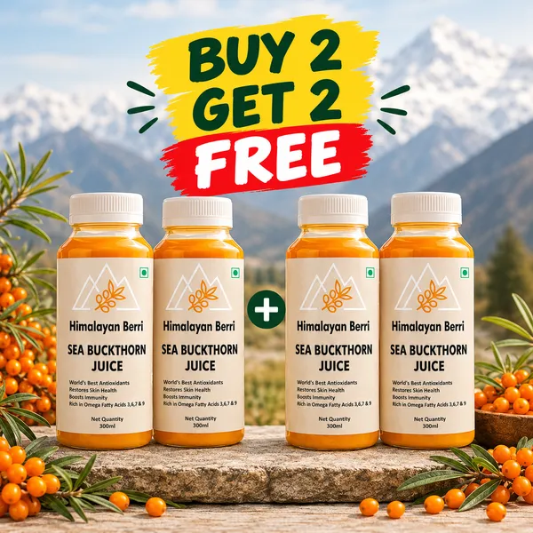 Buy_2_Get_2_Free_Sea_Buckthorn_Juice_300Ml_And_300Ml_|_Omega_3_6_7_9_Rich_Superfruit_|_High_Vitamin_C_|_Immunity_Booster_|_Skin_And_Hair_Health_Drink