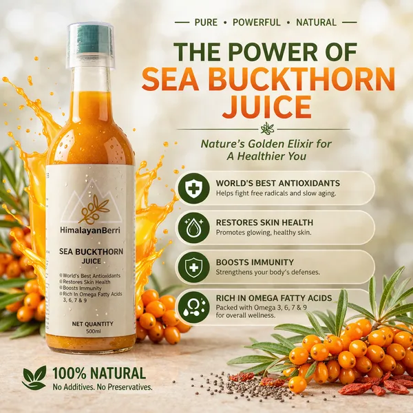 Pack_of_6_|_100%_Natural_Himalayan_Sea_Buckthorn_Pulp_Pure_Superfood_for_Immunity,_Skin_&_Daily_Wellness