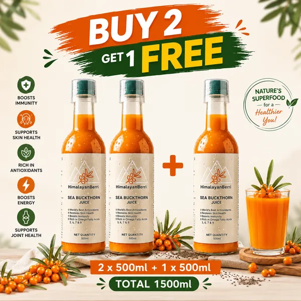 Buy_2_Get_1_Free_Sea_Buckthorn_Juice_500ml_+_500ml_|_Omega_3_6_7_9_Rich_Superfruit_|_High_Vitamin_C_|_Immunity_Booster_|_Skin_&_Hair_Health_Drink