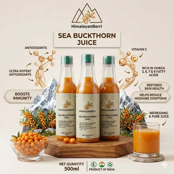 Pack_of_3_|_100%_Natural_Himalayan_Sea_Buckthorn_Pulp_Pure_Superfood_for_Immunity,_Skin_&_Daily_Wellness