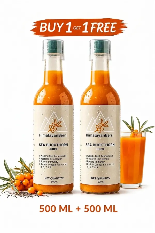 Buy_1_Get_1_Free_Sea_Buckthorn_Juice_500ml_+_500ml_|_Omega_3_6_7_9_Rich_Superfruit_|_High_Vitamin_C_|_Immunity_Booster_|_Skin_&_Hair_Health_Drink