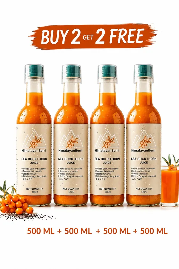 Buy_2_Get_2_Free_Sea_Buckthorn_Juice_1000ml_+_1000ml_|_Omega_3_6_7_9_Rich_Superfruit_|_High_Vitamin_C_|_Immunity_Booster_|_Skin_&_Hair_Health_Drink