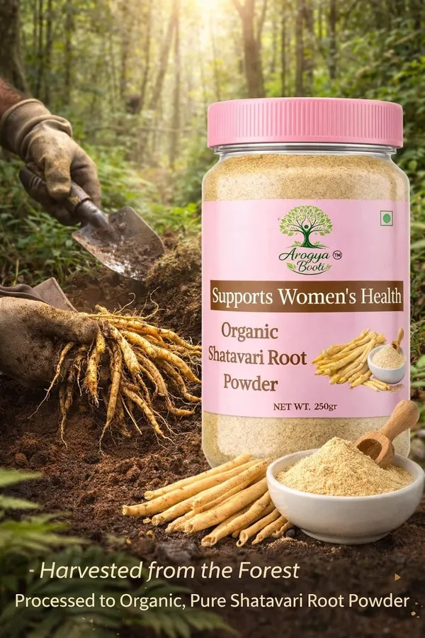 Organic_Shatavari_Root_Powder_250G_Pure_Asparagus_Racemosus_Powder_Natural_Women_Wellness_Support_Hormonal_Balance_Lactation_Support_Yellow_Shatavari_Root_Churna