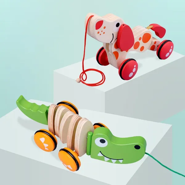 Pull_Along_Walking_Toys_Birthday_Gift_Push_And_Pull_Toy_For_1_2_3_4_Years_Old_(Any_2_unit)