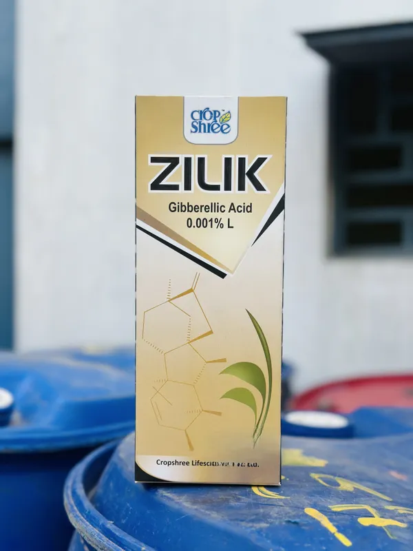 Zilik_Gibberellic_Acid_0.001%_L_-_Plant_Growth_Regulator
