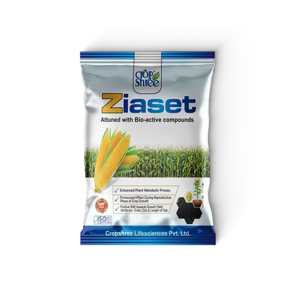 Ziaset_Bio-Active_Compound_For_Stress_Management-_Protein_Hydrolysate_Granule