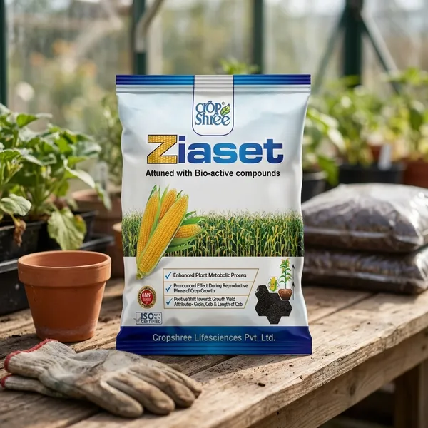 Ziaset_Bio-Active_Compound_For_Stress_Management-_Protein_Hydrolysate_Granule