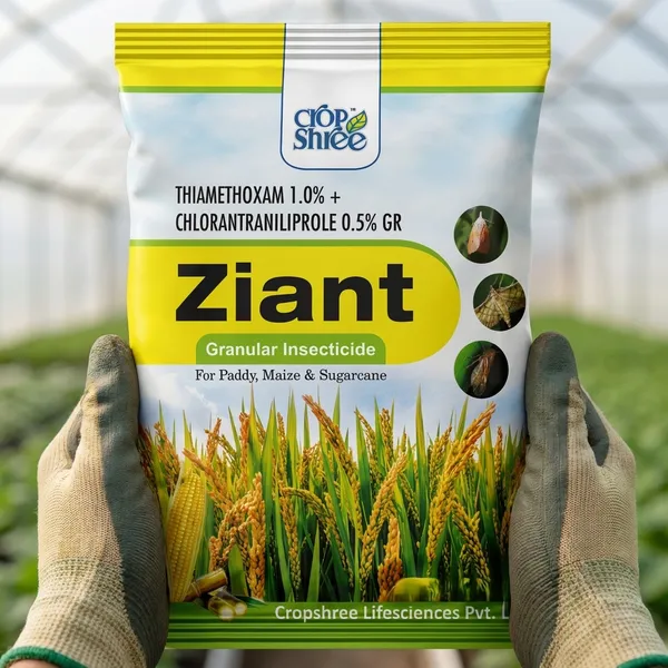 Ziant_Granular_Insecticide_-_Thiamethoxam_1.0%_And_Chlorantraniliprole_0.5%_Gr