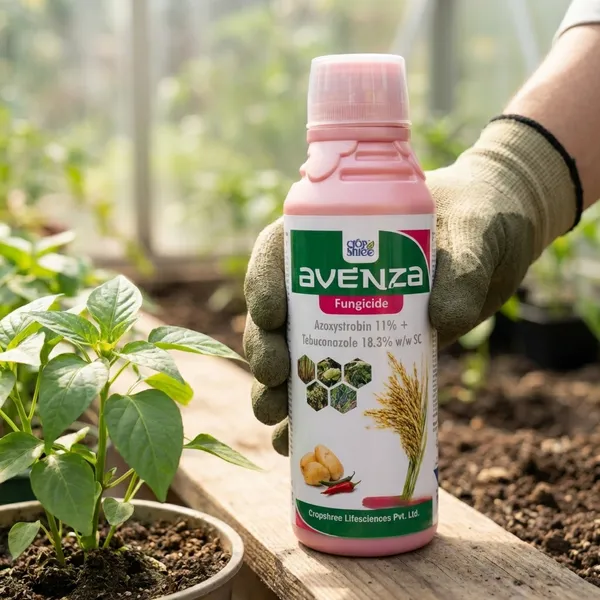 Avenza_Fungicide_-_Azoxystrobin_11%_And_Tebuconazole_18.3%_Sc