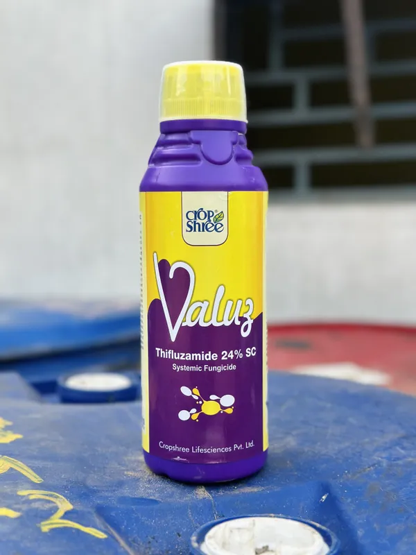 Valuz_Thifluzamide_24%_Sc_Systemic_Fungicide