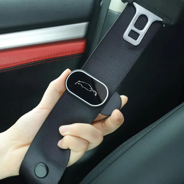 Black_Abs_Plastic_Seat_Belt_Holder_Pack_Of_2