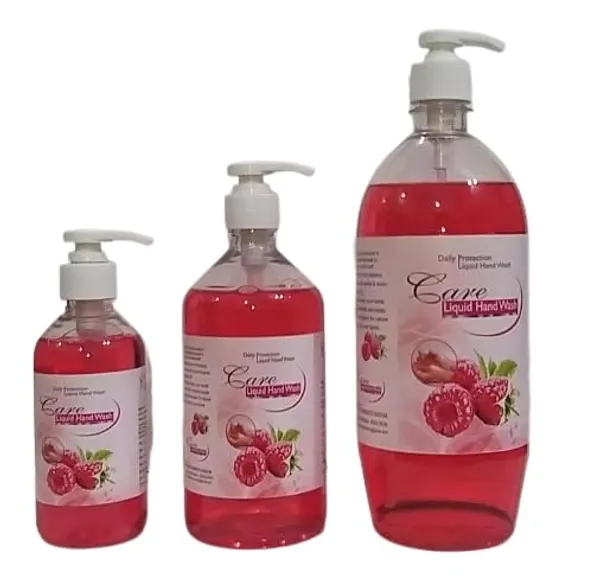 Care_Hand_Wash_Daily_Protection_Liquid_Hand_Wash_Pack_Of_3