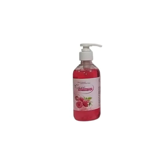 Care_Hand_Wash_Daily_Protection_Liquid_Hand_Wash_Pack_Of_3