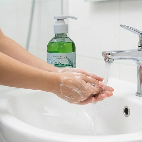 Care_Hand_Wash_Daily_Protection_Liquid_Hand_Wash_Hand_Cleaner