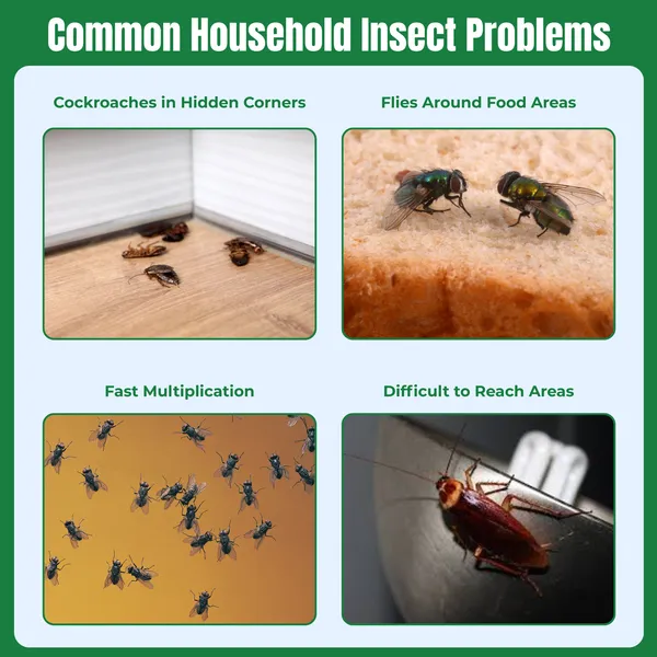 Pack_of_8,_Begone_Cockroach_And_Fly_Bait_Trap_Effective_Pest_Control_Solution_10_Gm