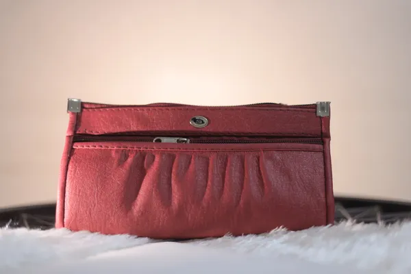 Compact_Organizer_Purse_With_Multiple_Compartments._Buy_1_Get_1_Free_Colour_May_Be_Varey