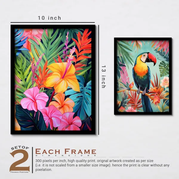 Multicolour_Parrot