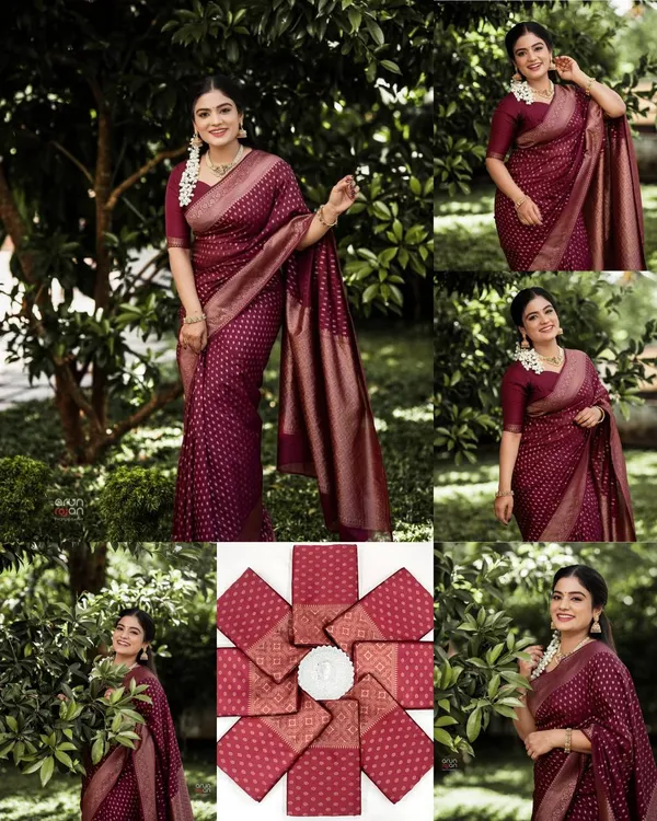 Brown_Beautiful_Rich_Pallu_And_Jacquard_Work_Saree