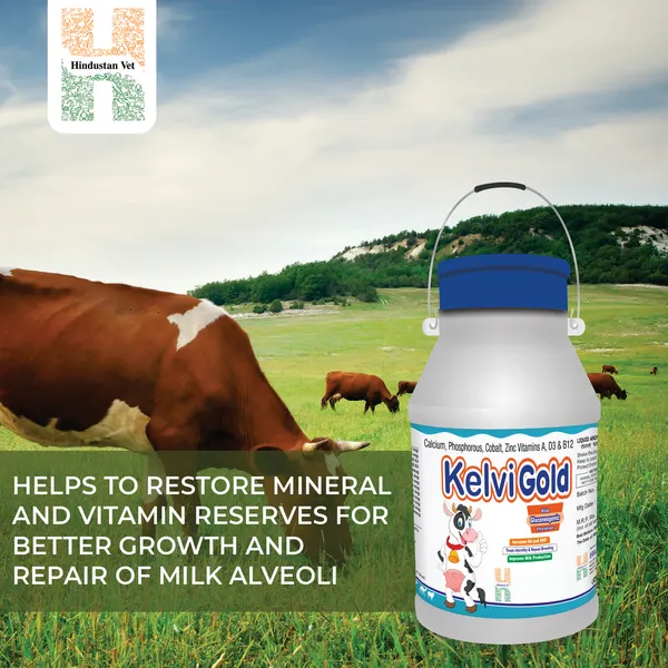 KELVIGOLD_Chelated_Liquid_Calcium_For_Cow/Buffalo/Sheep/Goat/Poultry/Horse/Fish/Dog/Cat/Pig