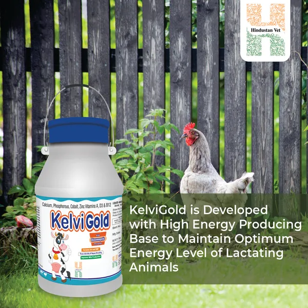 KELVIGOLD_Chelated_Liquid_Calcium_For_Cow/Buffalo/Sheep/Goat/Poultry/Horse/Fish/Dog/Cat/Pig