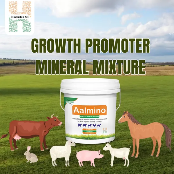 AALMINO_Chelated_Mineral_Mixture_For_Cow/Buffalo/Sheep/Goat/Poultry/Horse/Fish/Dog/Cat/Pig